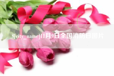 任丘11月9日全国消防日图片
