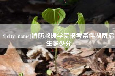 任丘消防救援学院报考条件湖南招生多少分