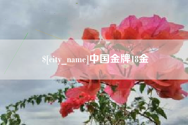 任丘中国金牌18金