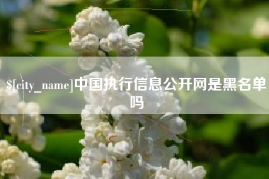 任丘中国执行信息公开网是黑名单吗