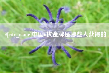 任丘中国6枚金牌是哪些人获得的