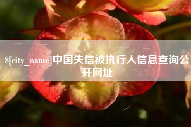 任丘中国失信被执行人信息查询公开网址