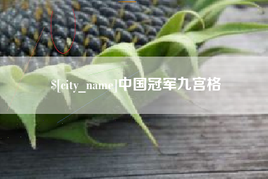 任丘中国冠军九宫格