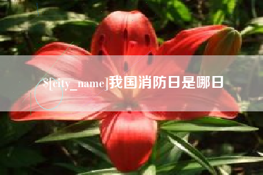 任丘我国消防日是哪日