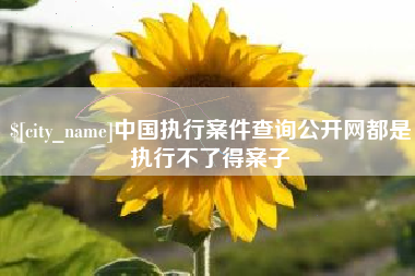 任丘中国执行案件查询公开网都是执行不了得案子