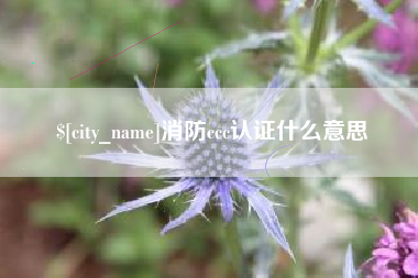 任丘消防ccc认证什么意思