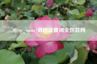 任丘消防证查询全国联网