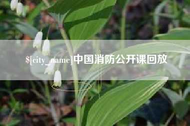 任丘中国消防公开课回放