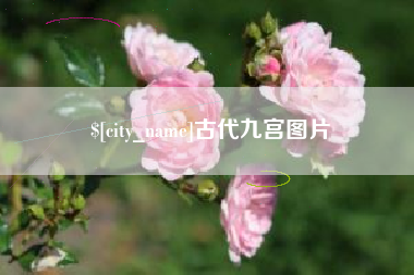 任丘古代九宫图片