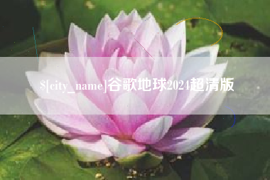 任丘谷歌地球2024超清版