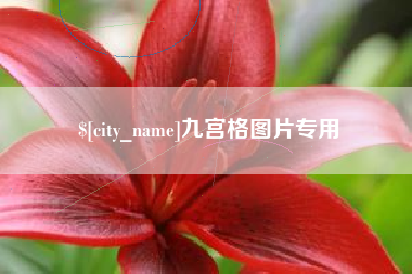任丘九宫格图片专用
