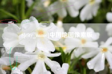 任丘中国地图像素版