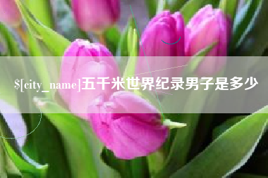 任丘五千米世界纪录男子是多少