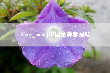 任丘中国金牌都是啥