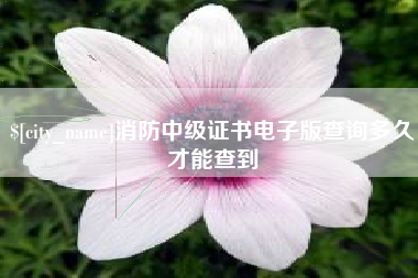 任丘消防中级证书电子版查询多久才能查到