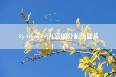 任丘九宫图分割线图片