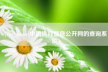任丘中国执行信息公开网的查询系统