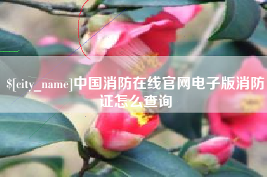 任丘中国消防在线官网电子版消防证怎么查询