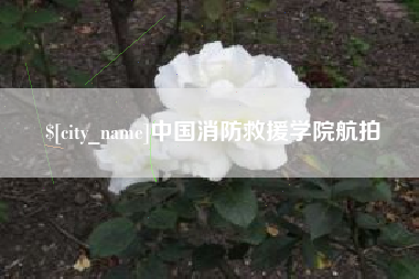 任丘中国消防救援学院航拍