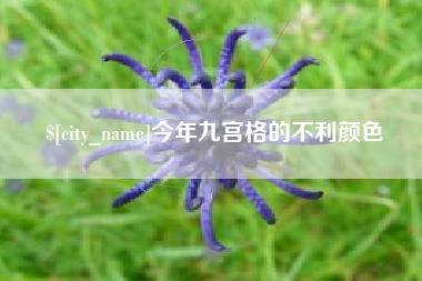 任丘今年九宫格的不利颜色