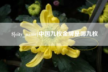 任丘中国九枚金牌是哪九枚