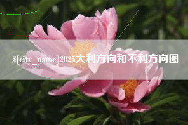 任丘2025大利方向和不利方向图