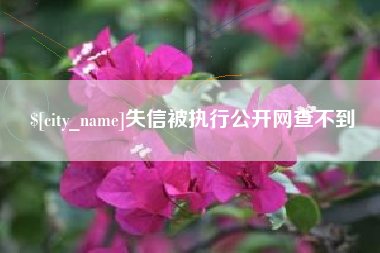任丘失信被执行公开网查不到