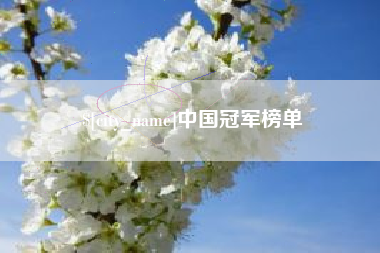 任丘中国冠军榜单