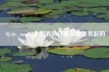 任丘全国消防日是从哪年发起的