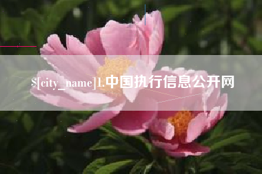 任丘1.中国执行信息公开网