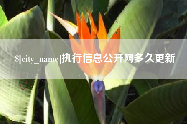 任丘执行信息公开网多久更新