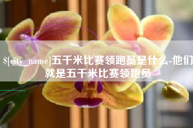 任丘五千米比赛领跑员是什么-他们就是五千米比赛领跑员