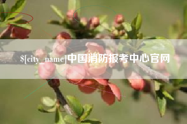 任丘中国消防报考中心官网