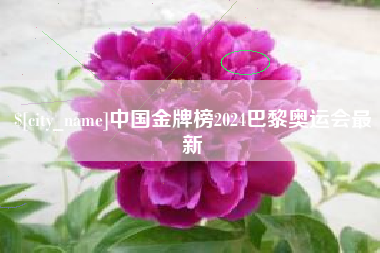 任丘中国金牌榜2024巴黎奥运会最新