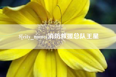 任丘消防救援总队王星