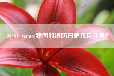 任丘我国的消防日是几月几号？