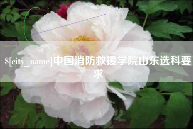 任丘中国消防救援学院山东选科要求