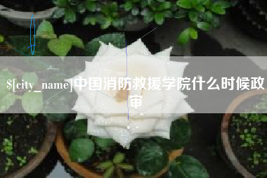 任丘中国消防救援学院什么时候政审