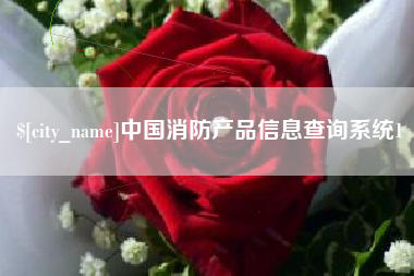 任丘中国消防产品信息查询系统1