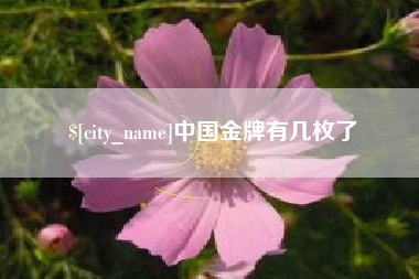任丘中国金牌有几枚了