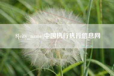 任丘中国执行执行信息网