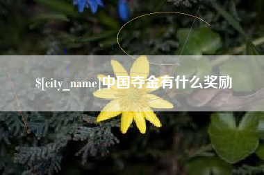 任丘中国夺金有什么奖励