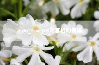 任丘579九宫格如何排