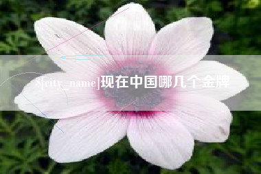 任丘现在中国哪几个金牌