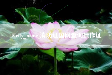 任丘消防证国网查询操作证