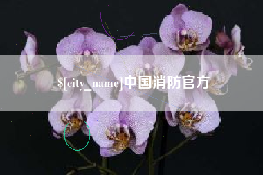 任丘中国消防官方
