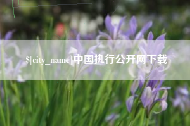 任丘中国执行公开网下载