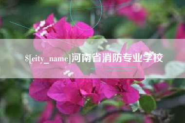 任丘河南省消防专业学校