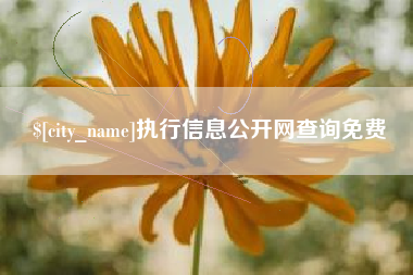 任丘执行信息公开网查询免费